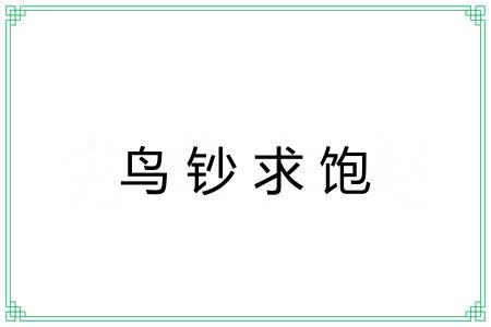 鸟钞求饱